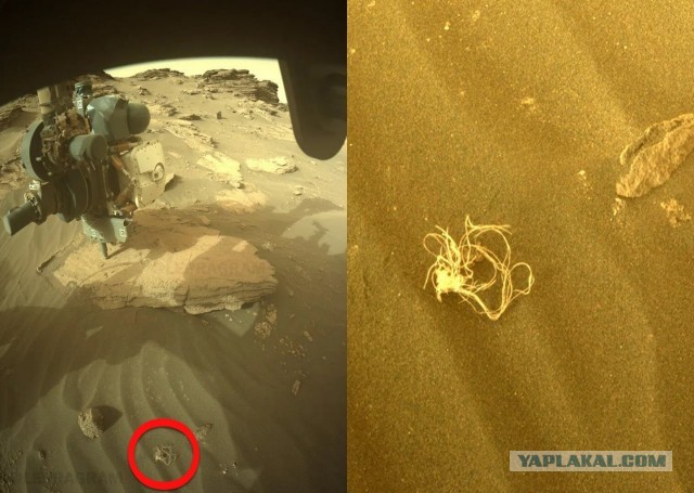 На Марсе нашли «сыр-косичку»