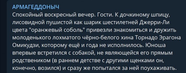 Пандемия съехавших крыш - разновидности болезни. Россия и мир. Часть 39.