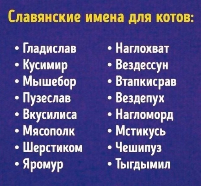 Картинки и мемы для настроения - 17