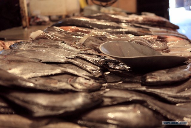 Южно-Американский дневник. Чили. сантьяго