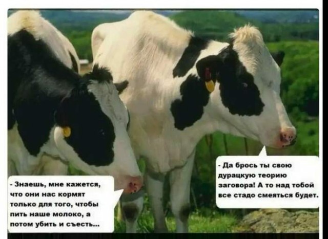 Про сплочение народа вокруг поднятия цен