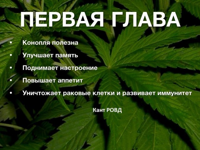 Прикольные и просто красивые картинки 22.11.2022