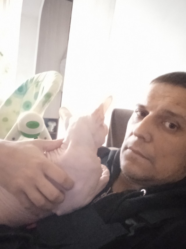 Кого из домочадцев кошка выбирает на роль «прислуги»