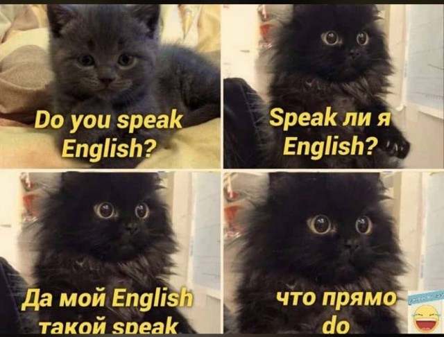 Околоайтишные мемчики 2