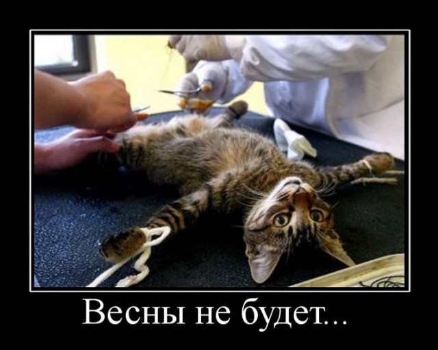 Кажется, чего-то не хватает...
