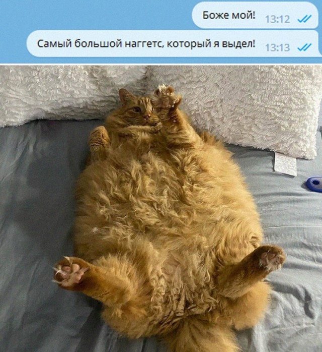 Картинки и мемы, всем хороших выходных