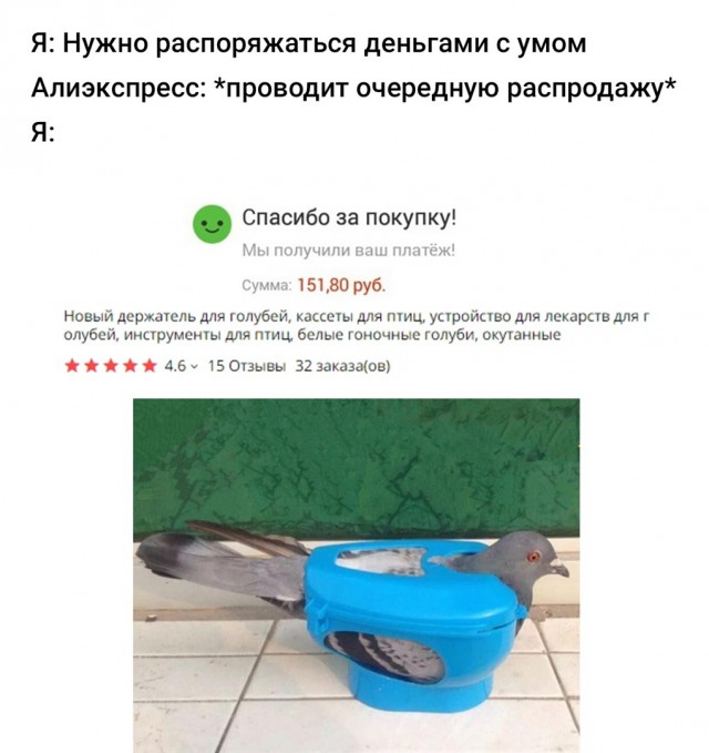 Так себе картинки 23.02.23