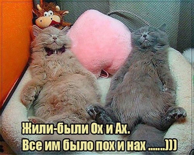 Картинки и мемы, всем хороших выходных