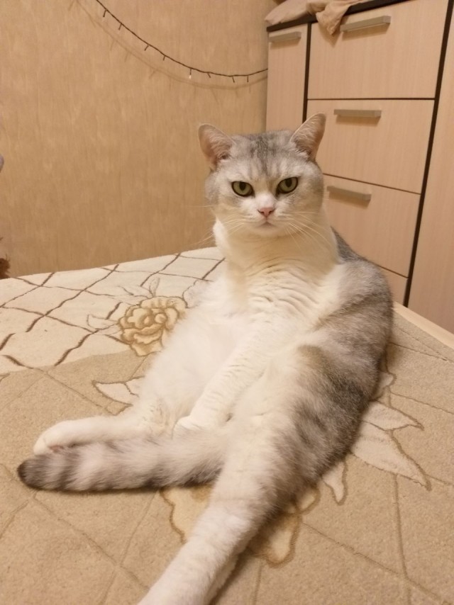 Вторник, да?