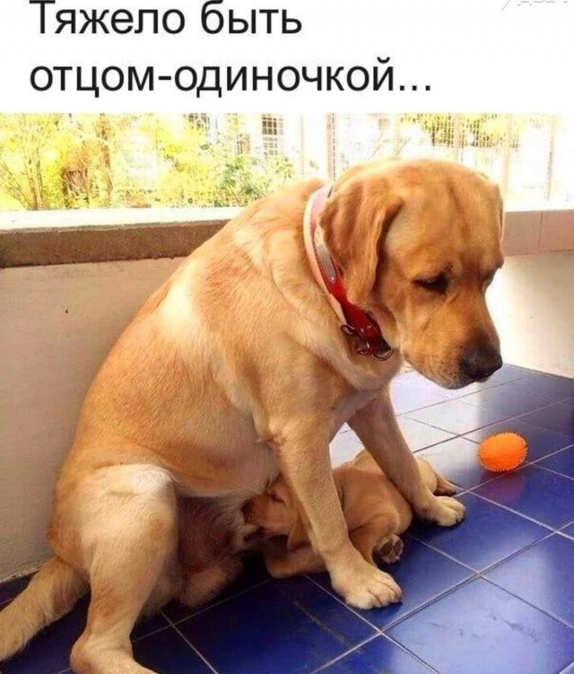Журналистка, готовившая сенсацию о вспышке рака среди вакцинированных от Ковида, неожиданно умерла в 45 лет