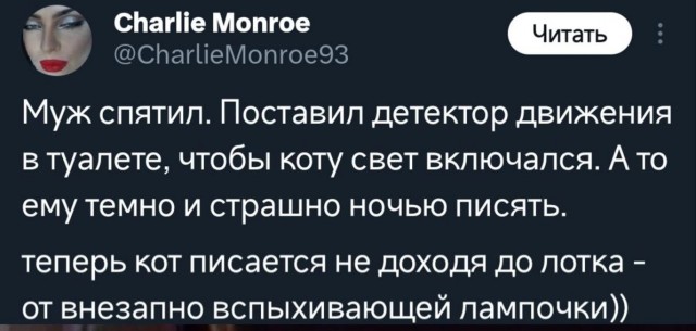 Скриншоты и комментарии из социальных сетей 07.10.23