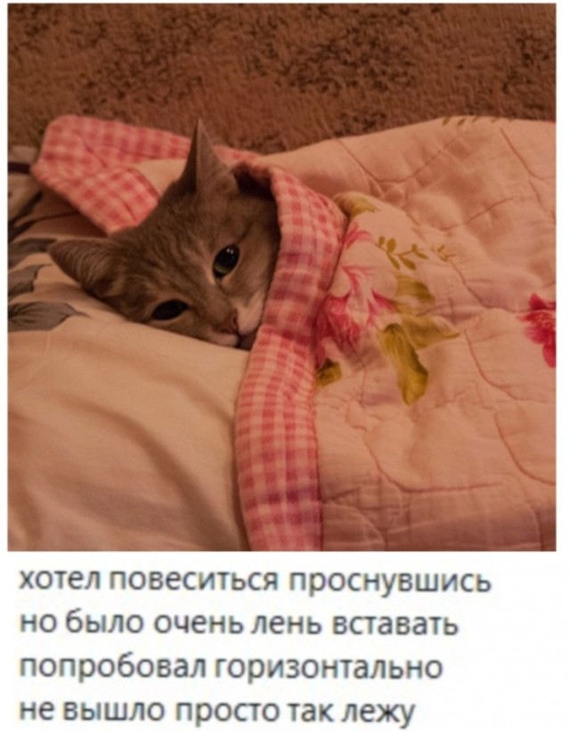 Так себе картинки 09.10.23