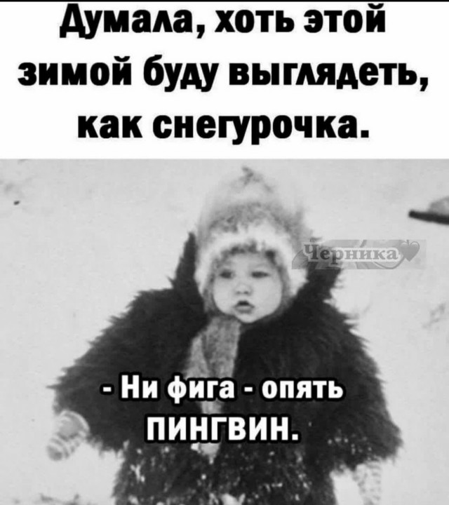 «Одинокая женщина желает познакомиться»: тупиковая ветвь неправдоподобного сюжета