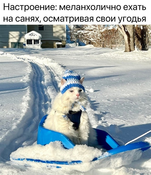 Так себе картинки 31.12.23