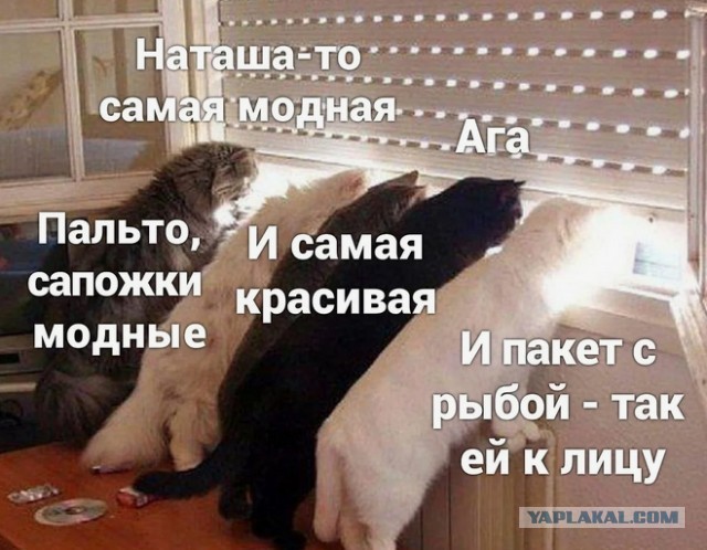 В Казани  мужчина напал на соседку, потому что та перекрыла выезд