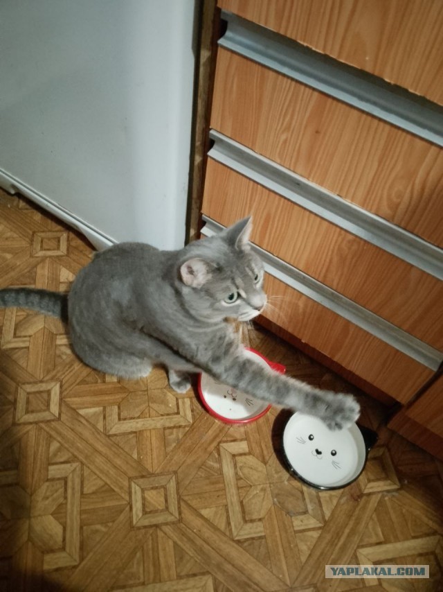 17 лет старичку!