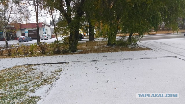 А у нас ледяной дождик (Барнаул).