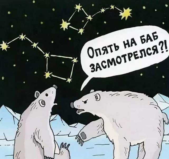 Так себе картинки 23.10.24