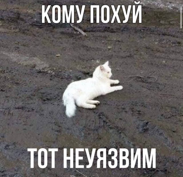 Хорошо погуляли