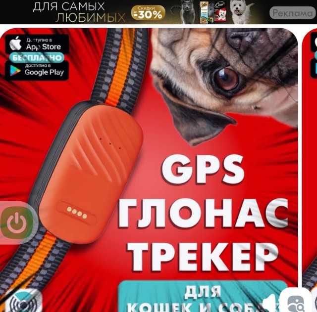 Вернулся, охламон...
