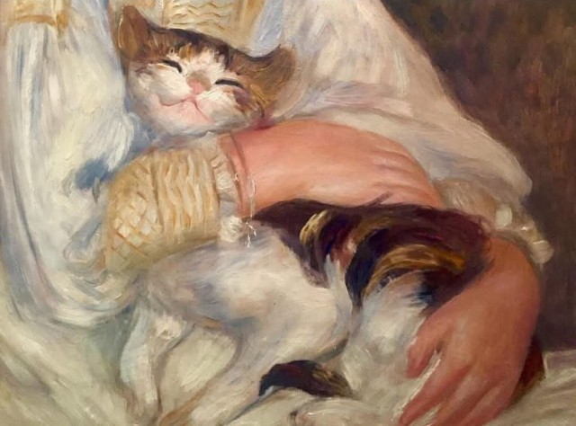 К котовторнику.