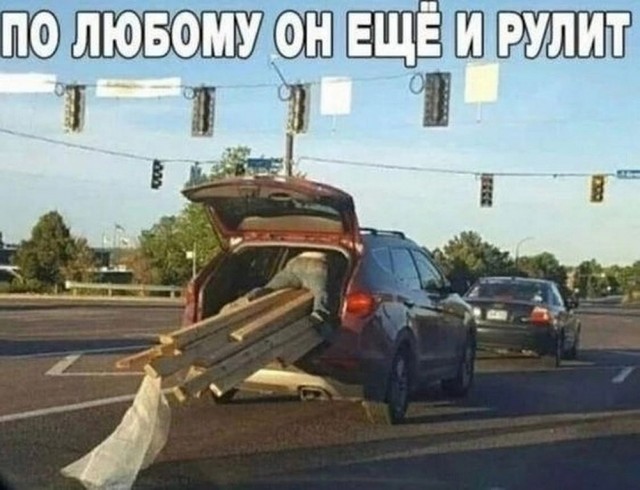 Веселые картинки в маленькую пятницу (11.06)