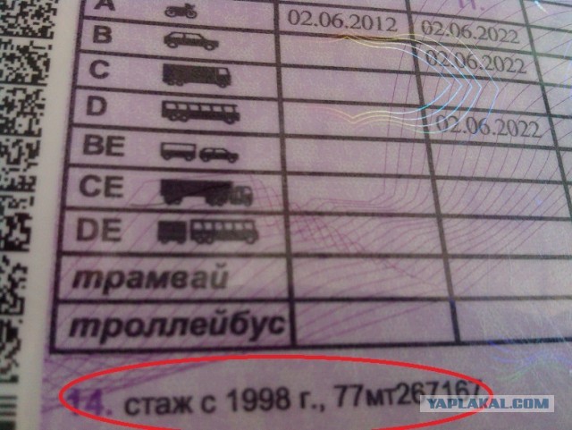 Вовремя открыла дверь.