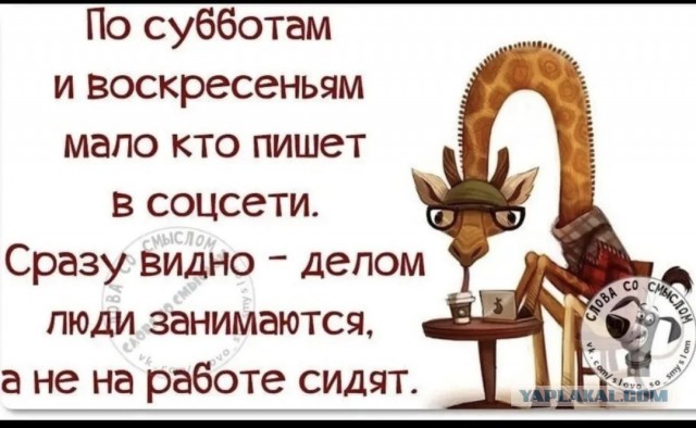 Ещё одна рабочая неделя прошла