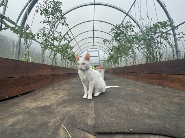 Тепло, хорошо