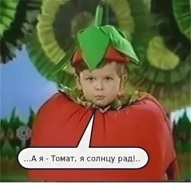 Беда пришла, откуда не ждали