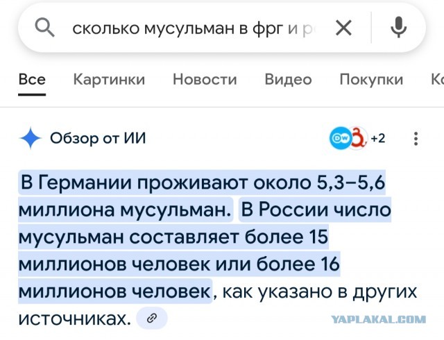 Кого спонсируют немецкие налогоплательщики?