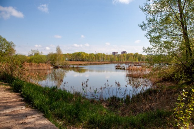 Рыбы не жаловались.