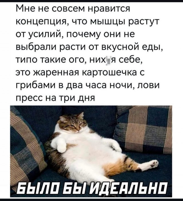 Так себе картинки 08.02.26