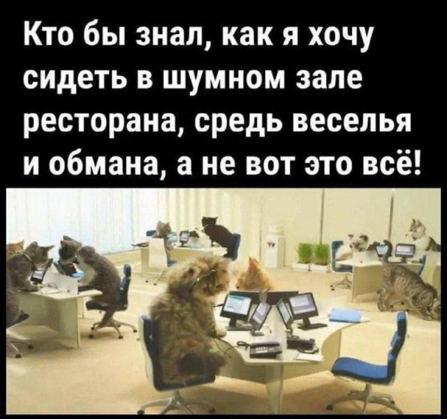 Веселые картинки в пятницу (20.02)