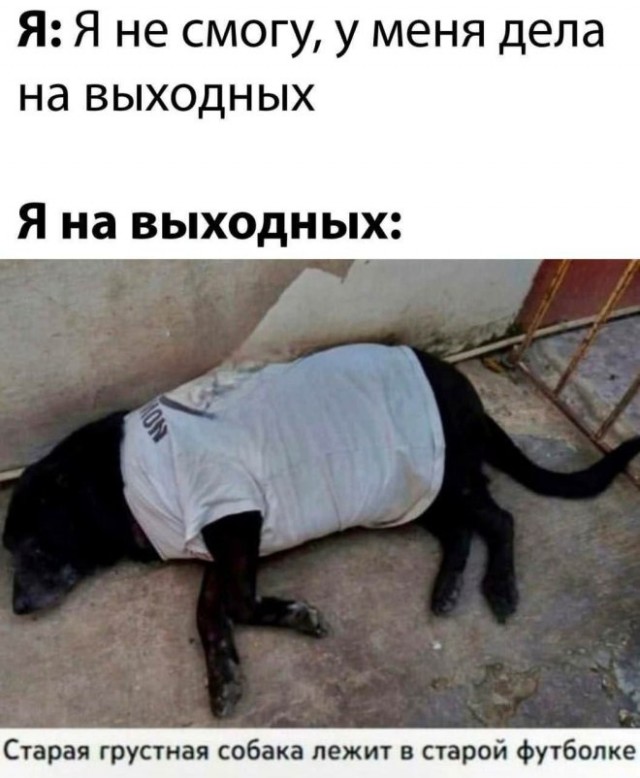 Картиночки, баянчики 14 марта