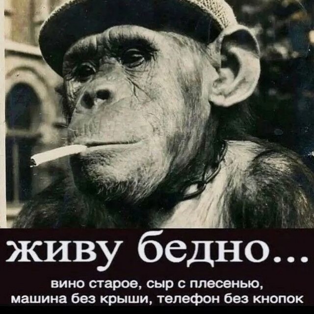 Пескову неизвестно о том, чтобы Путин давал поручение ограничивать VPN в России