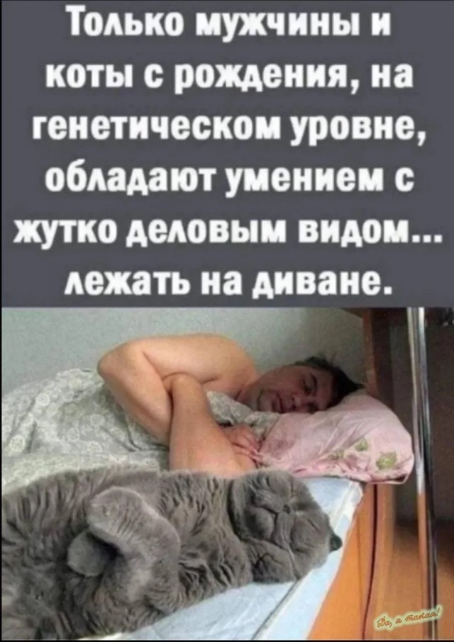 Картинки для деградации 180 (разной степени свежести)