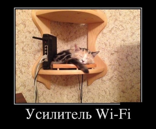 А засоветуйте роутер