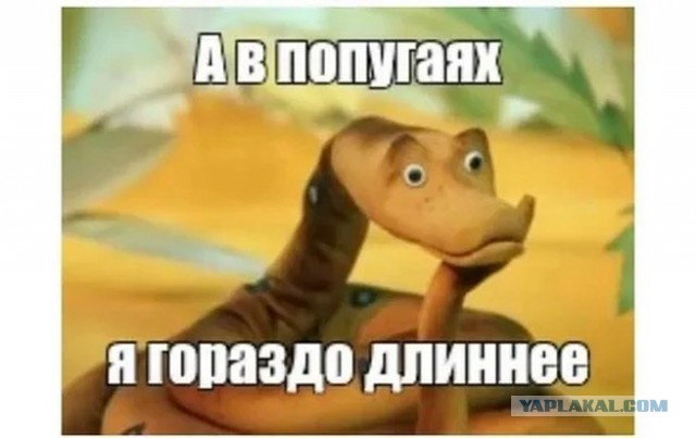 Поколение ЕГЭ