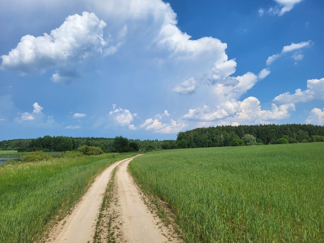 Небо. Облака.