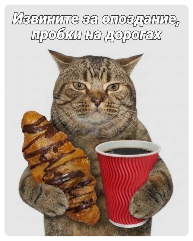 Так себе картинки 24.07.26