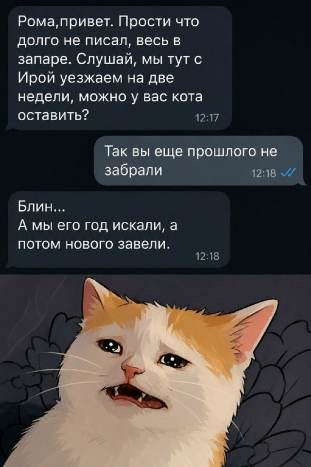 Так себе картинки 22.08.26
