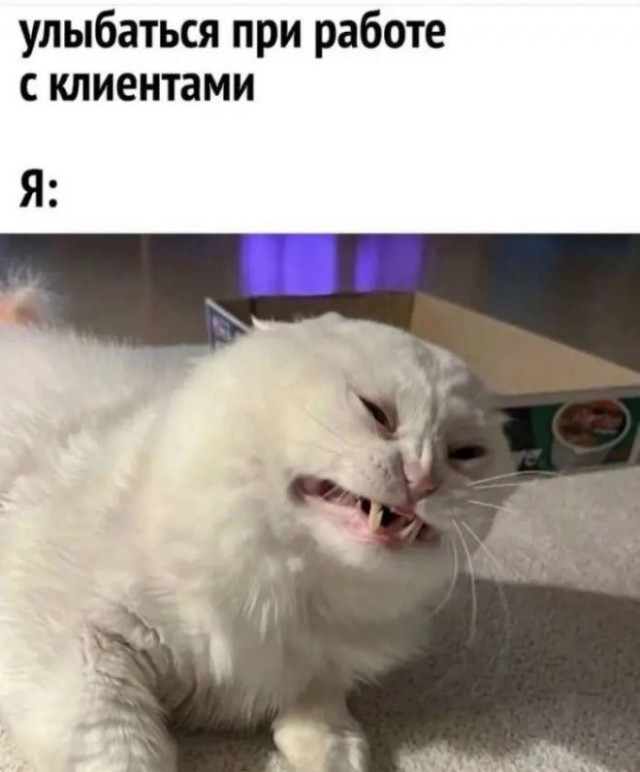 Картинки для деградации 276 (разной степени свежести)