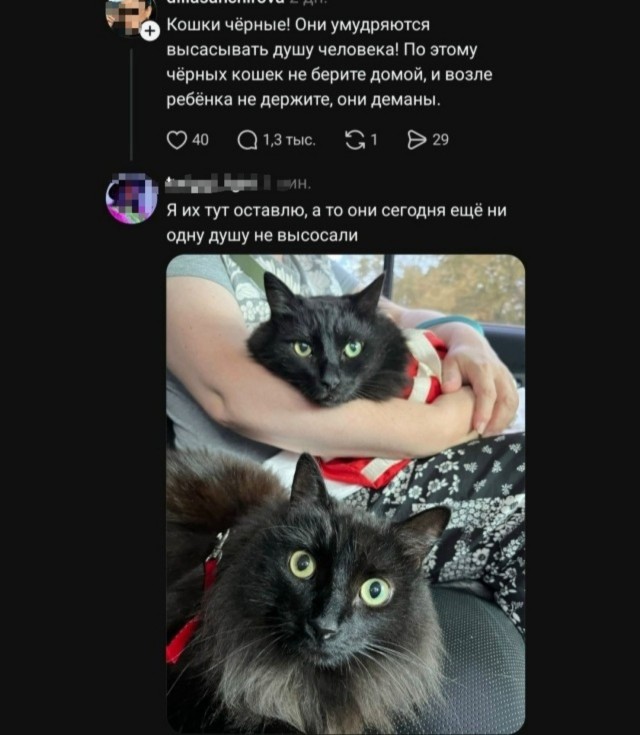 тРРРидцать тРРРи от 6 октября