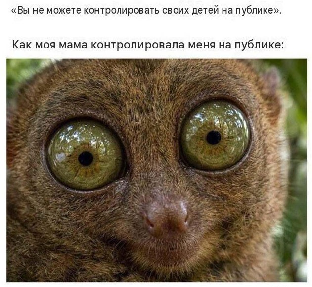 Ребёнок - существо разумное