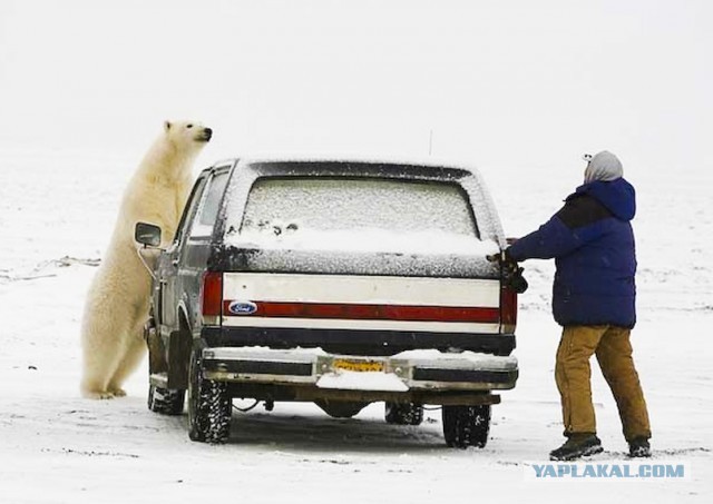 Фото на память!