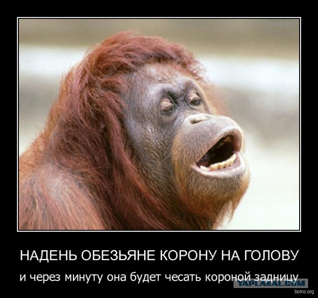 Злая продавщица из палатки Мороженое