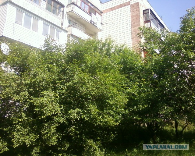 Писать много не люблю.