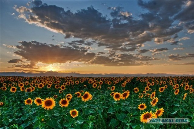 Мне нравится природа