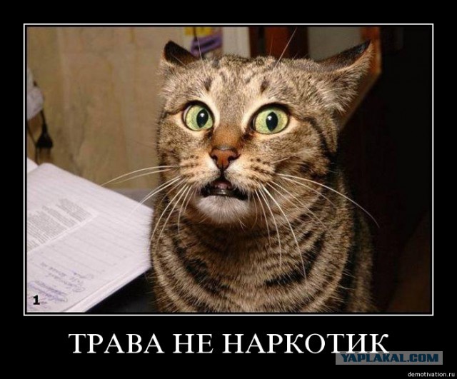 Вот это меня торкнуло